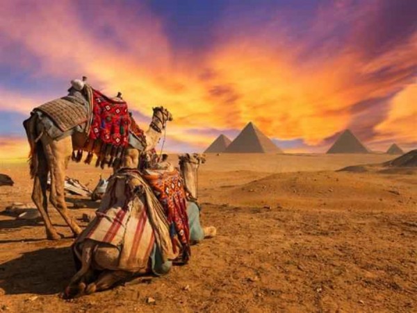 Şarm El- Sheık-Kahire-Hurgada Turu 7 Gece 8 Gün | Meloni Tur